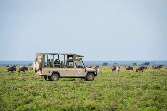 Green Season Comparison: Kenya vs. Tanzania