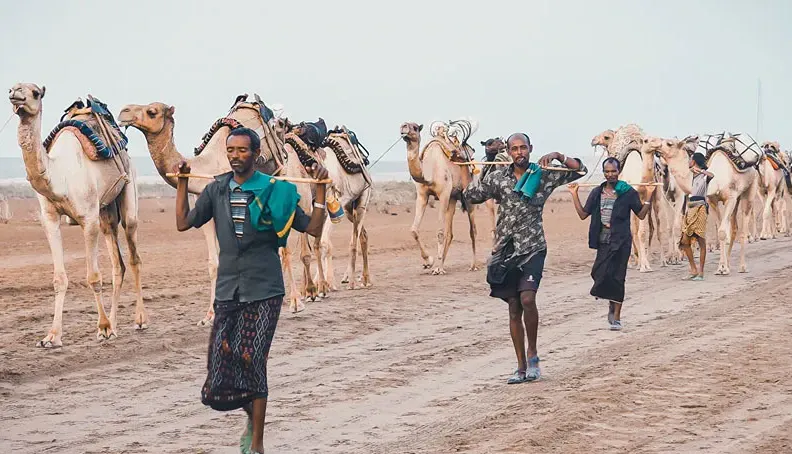 How Much Money Do You Need to Visit Ethiopia? (2026 Travel Budget Guide)