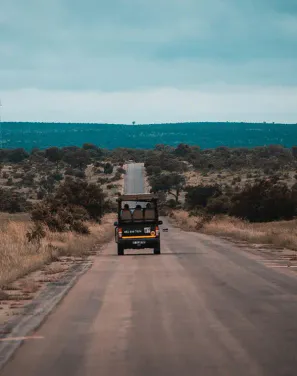 Safari Planning: Itineraries and Accommodation