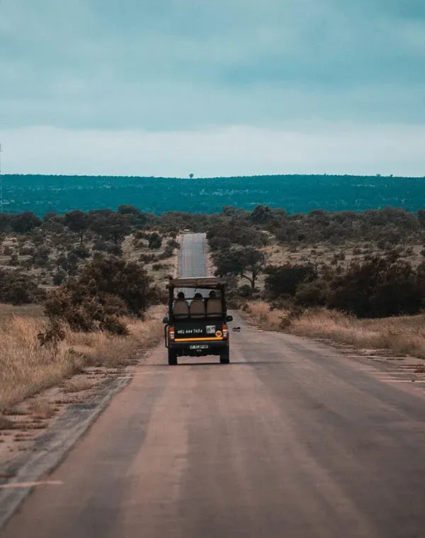 Safari Planning: Itineraries and Accommodation