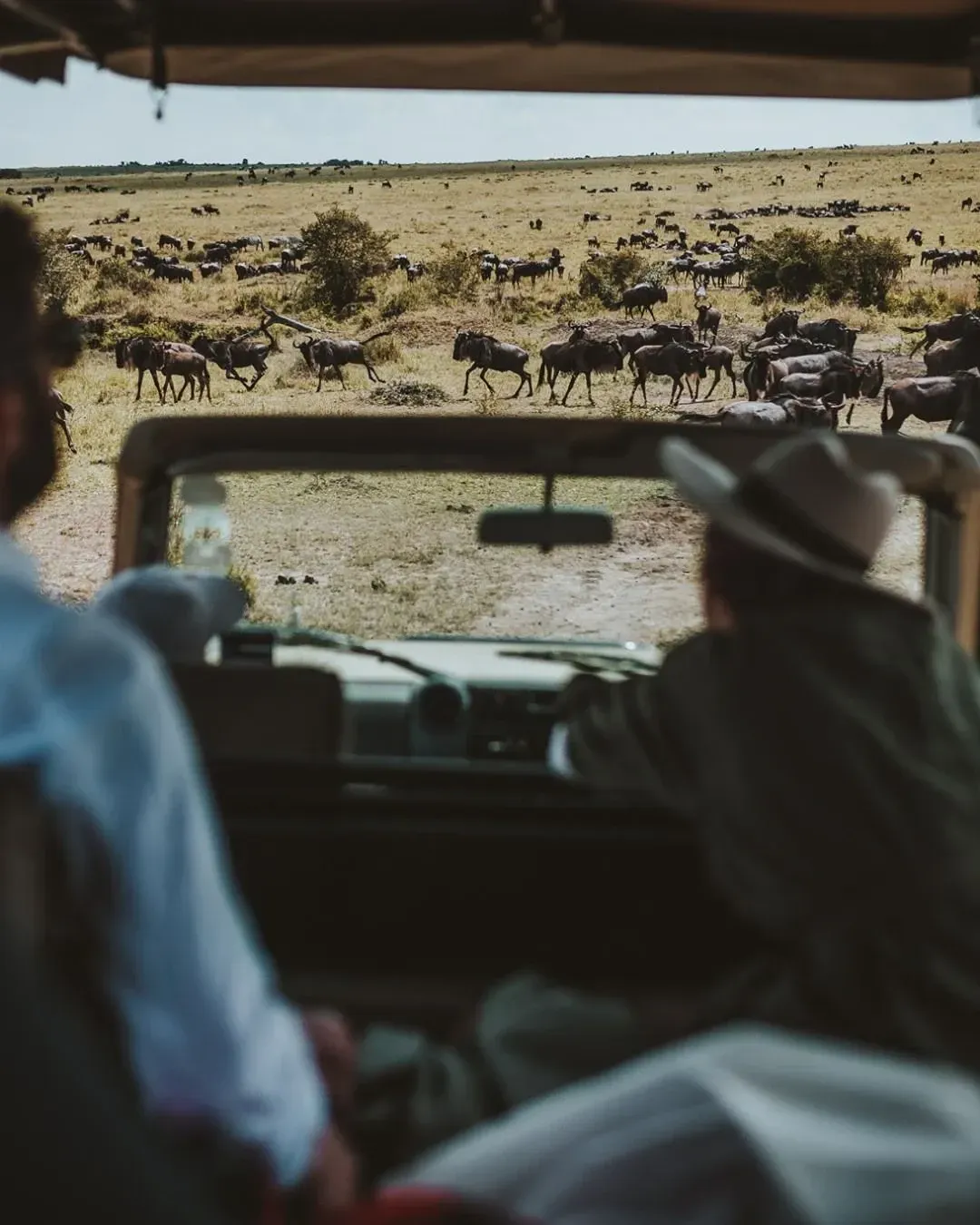 Overwhelmed Choosing a Tanzania Outfitter—Help!