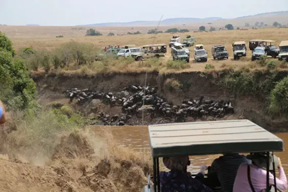 10 Bucket List Things to Do in the Masai Mara: The Ultimate 2026 Guide