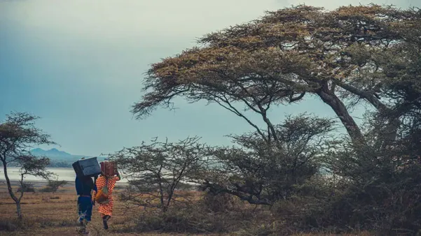 Frequently asked questions (FAQs) by tourists traveling to Tanzania.