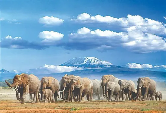 OL TUKAI LODGE AMBOSELI