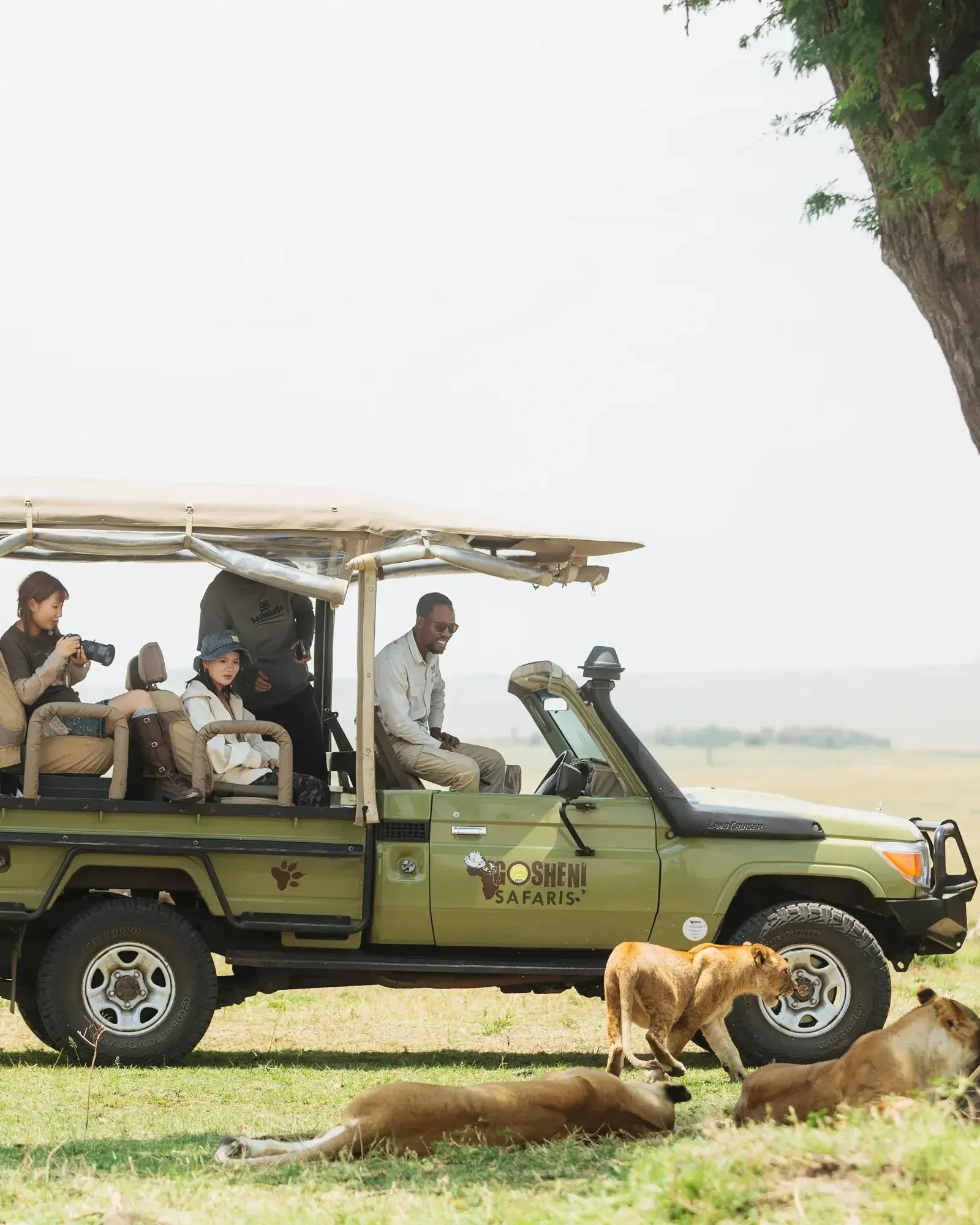 How to Vet a Tanzania Safari Operator Before You Pay a Deposit: A 10-Point Checklist