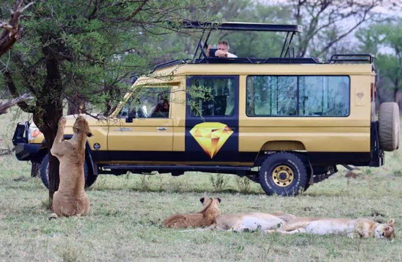 Madini Africa Adventure