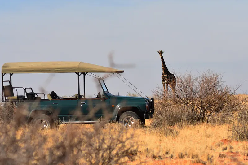 Gems of Africa Safaris