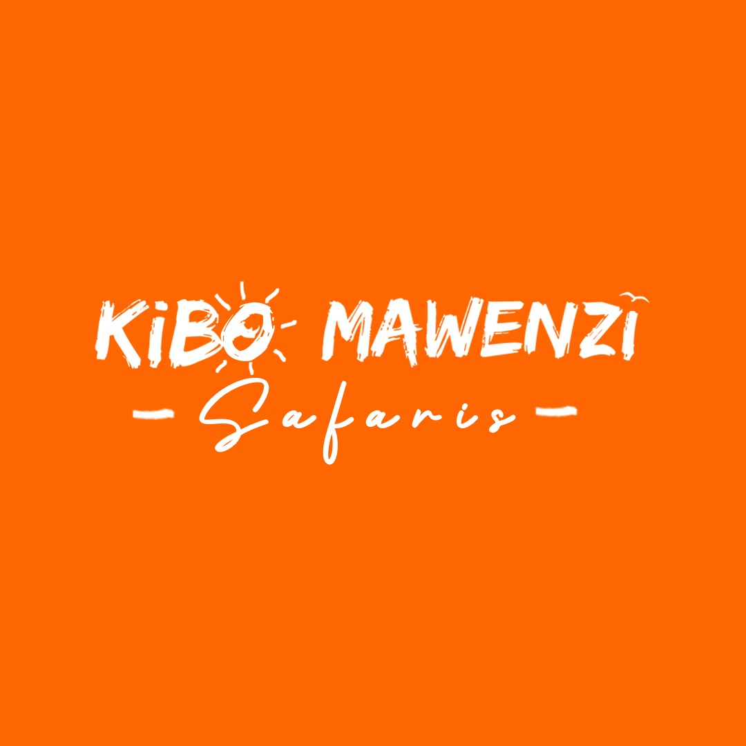 Kibo Mawenzi Safaris