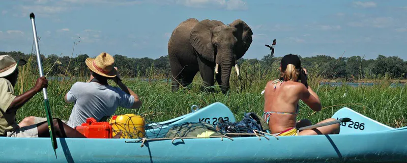 River Horse Safaris