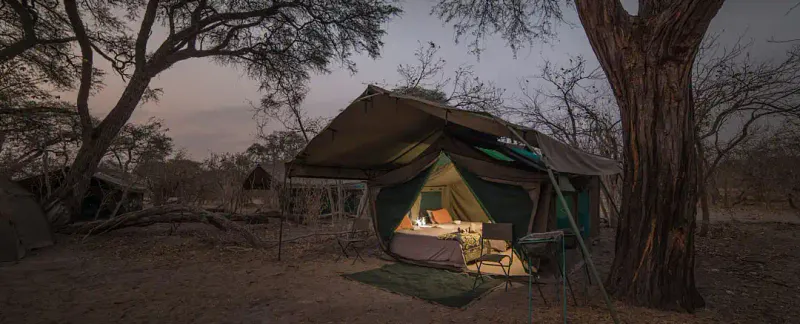 Ngweti Safaris