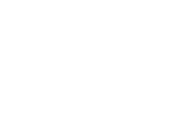 Gorilla Link Tours