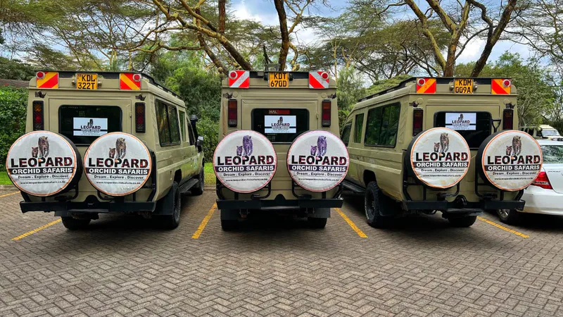 Leopard Orchid Safaris
