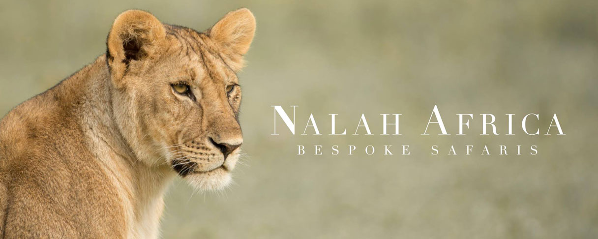 Nalah Africa Bespoke Safaris