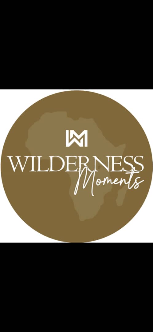 Wilderness Moments Tours