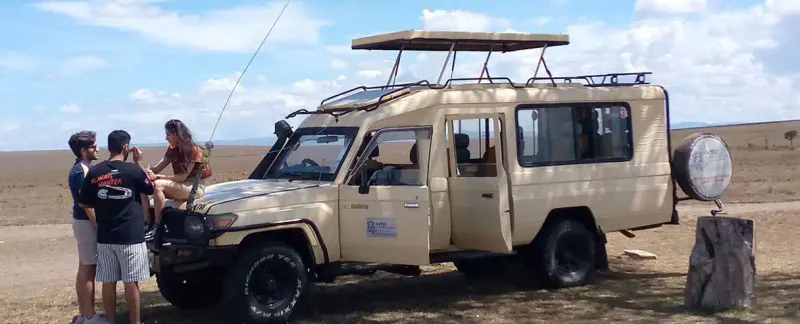 Into Adventure Safaris