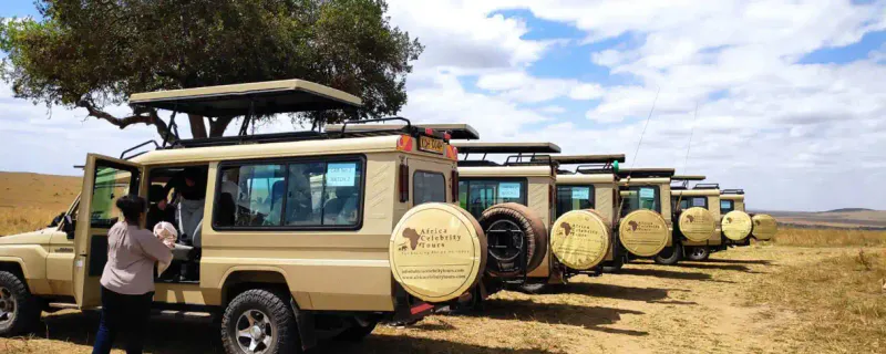 Africa Celebrity Tours