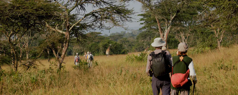 African Rock Safaris Ltd