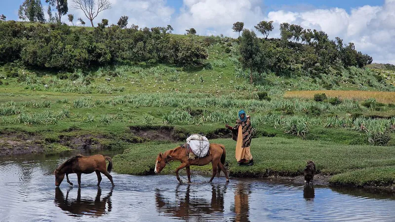 Bale mountains Authentic Tours