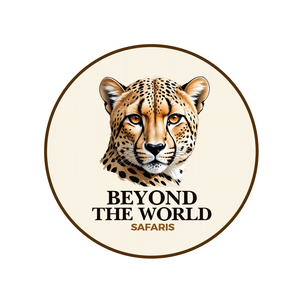 BEYOND THE WORLD LTD