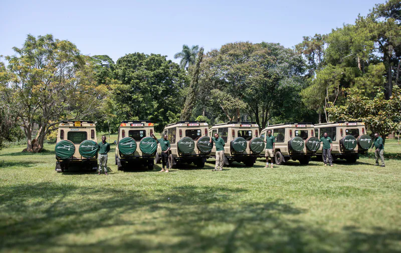 Allanblackia safaris 