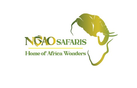 Ngao Safaris