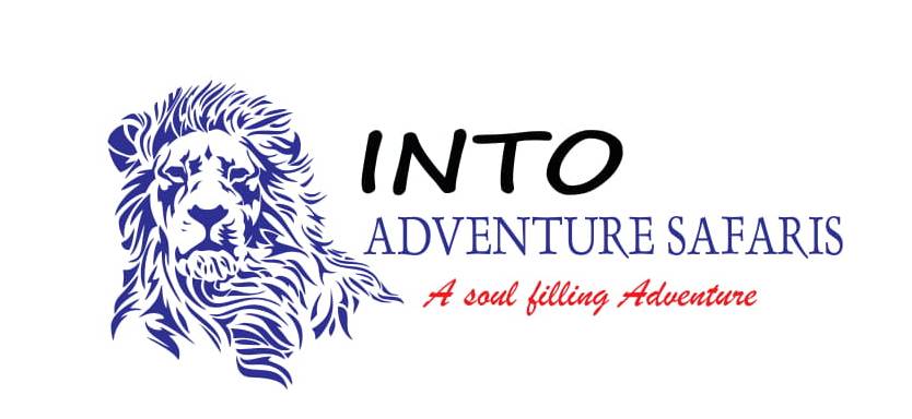 Into Adventure Safaris