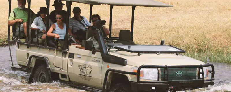 Mosu Safari Tours