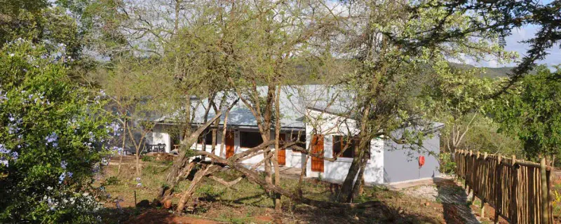 Hazyview Buffalo Game Lodge