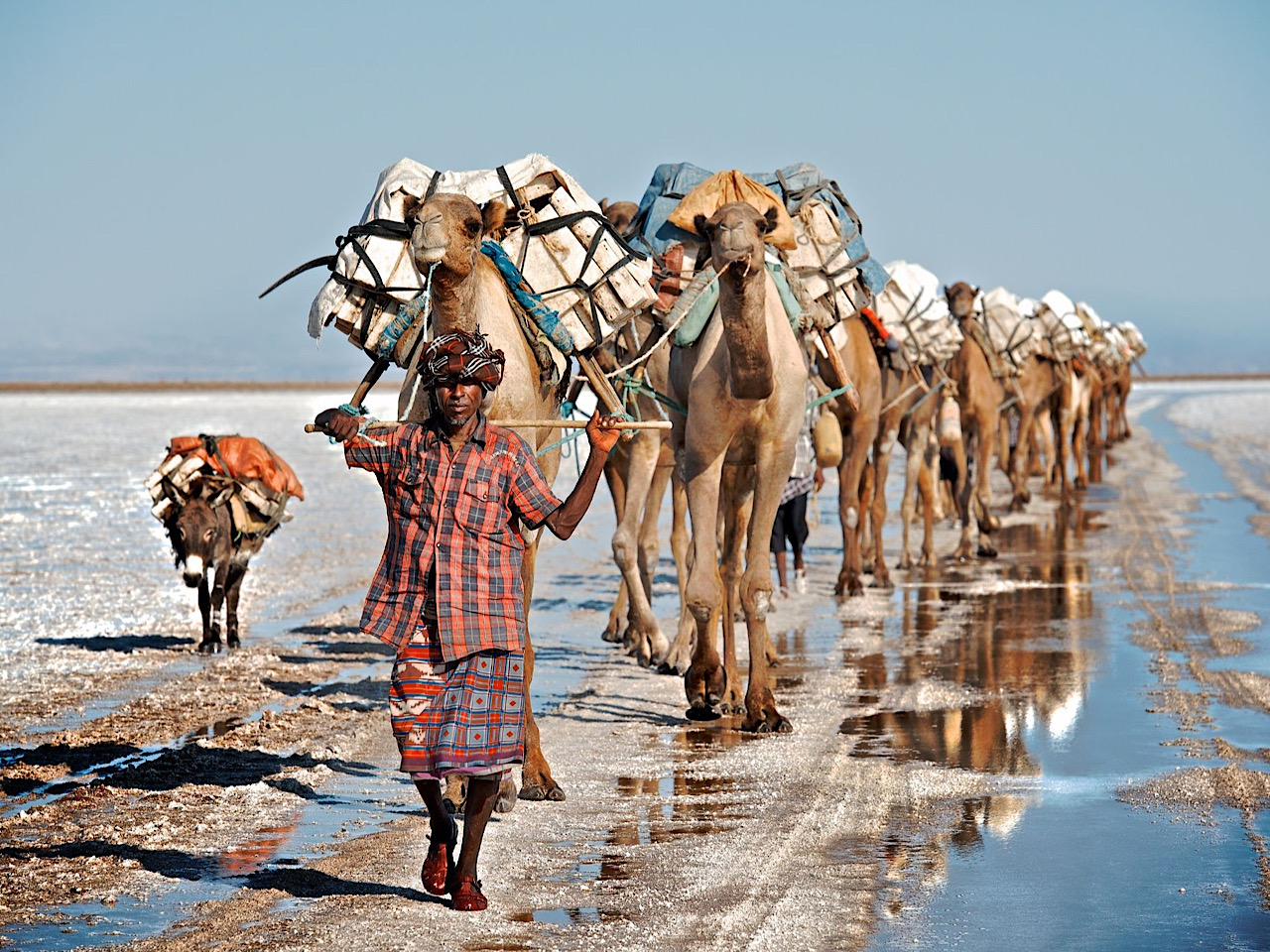Seven Day Ethiopia Tours 