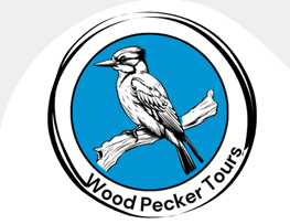 Woodpecker Tours