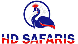 Holiday Destination Safaris