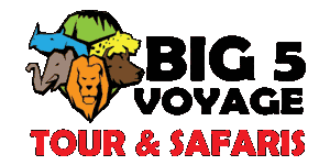 Big 5 Voyage