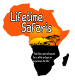 Lifetime Safaris