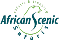 African Scenic Safaris