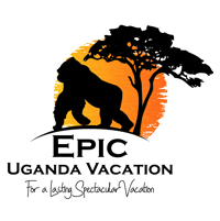 Epic Uganda Vacation