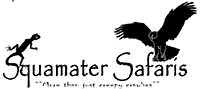 SQUAMATER SAFARIS