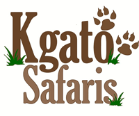 Kgato Safaris