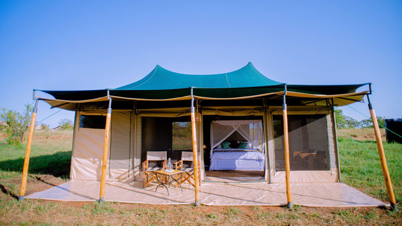 Follow Migration Ndutu Camp