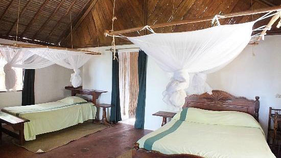 Palmarium Hotel