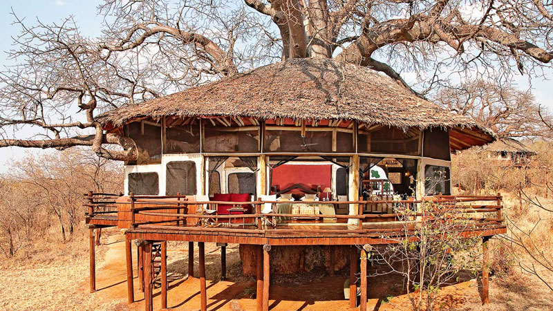 Tarangire Treetops