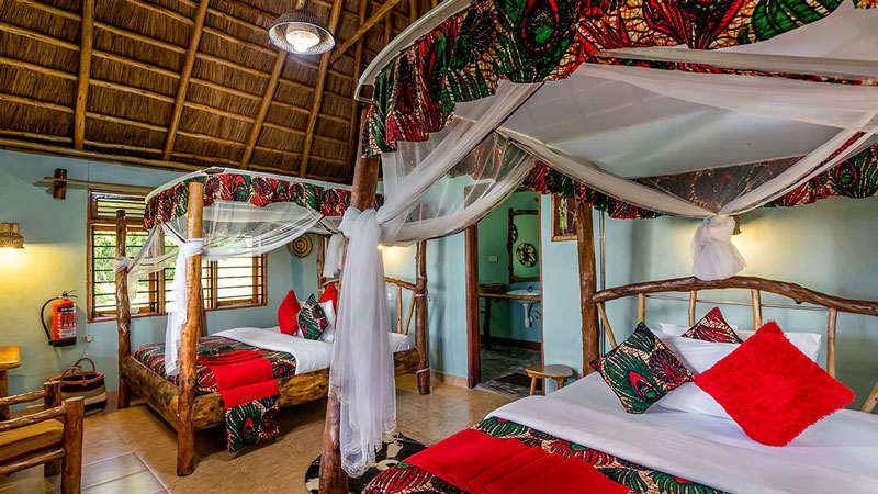 Chimpanzee forest guest house