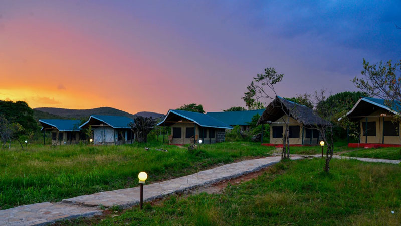 Flair Mara Camp