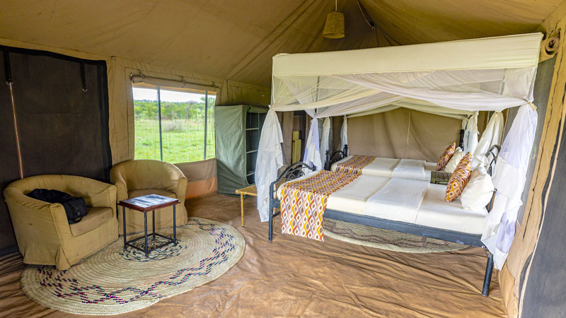 Serengeti Wild Camp