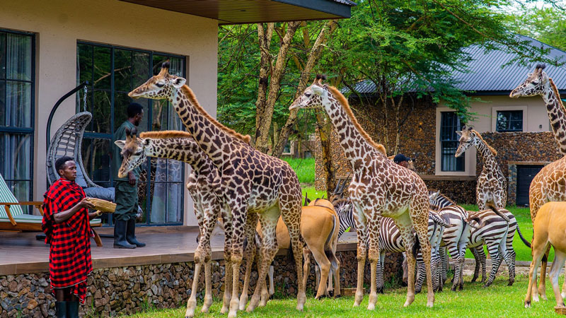 Aya Sophia Wildlife Villa