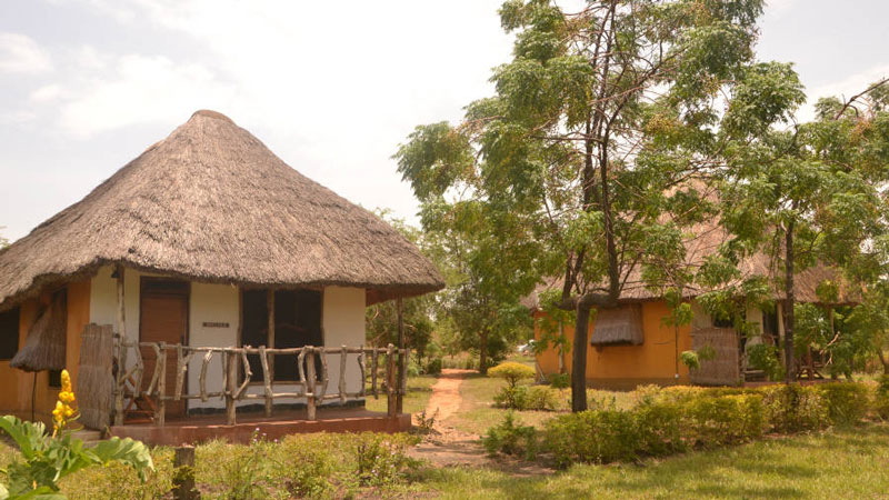 Hornbill Bush Lodge