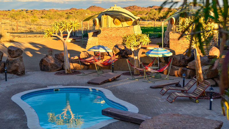 Quiver Tree Camp