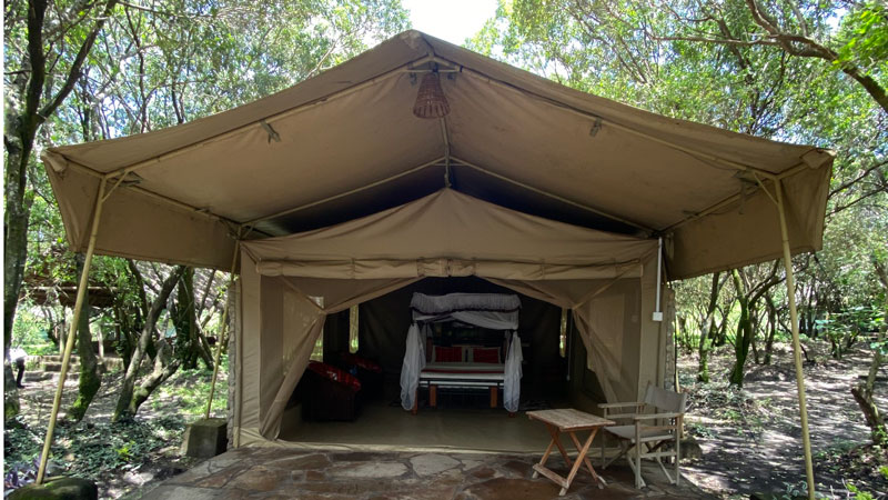 Miti Mingi Eco Camp