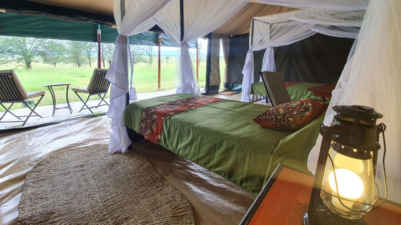 Serengeti view camp