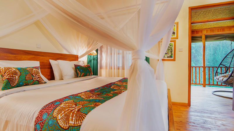 Gorilla Leisure Lodge