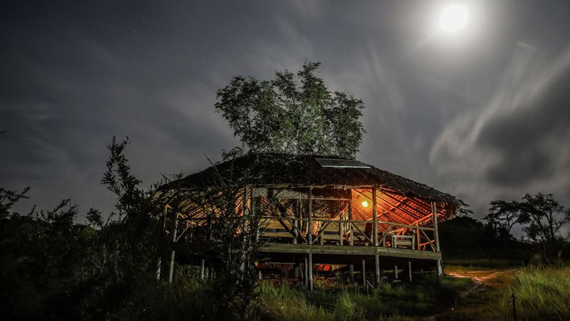 Saadani Beach Camp